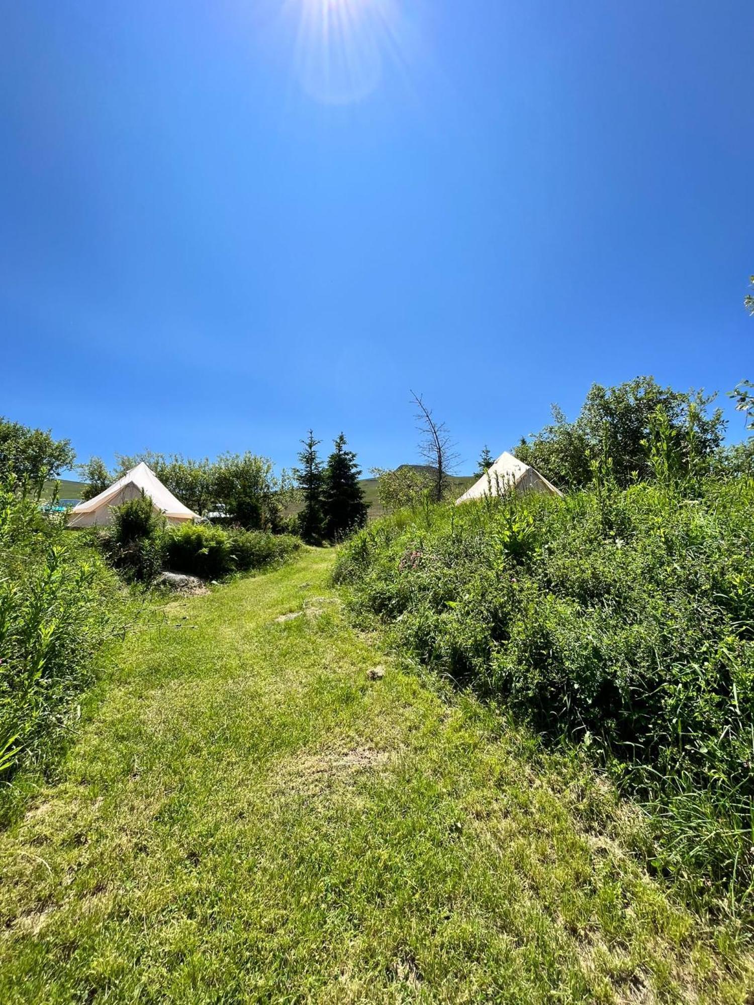 ホテル Refuge De La Banne Murat-le-Quaire エクステリア 写真